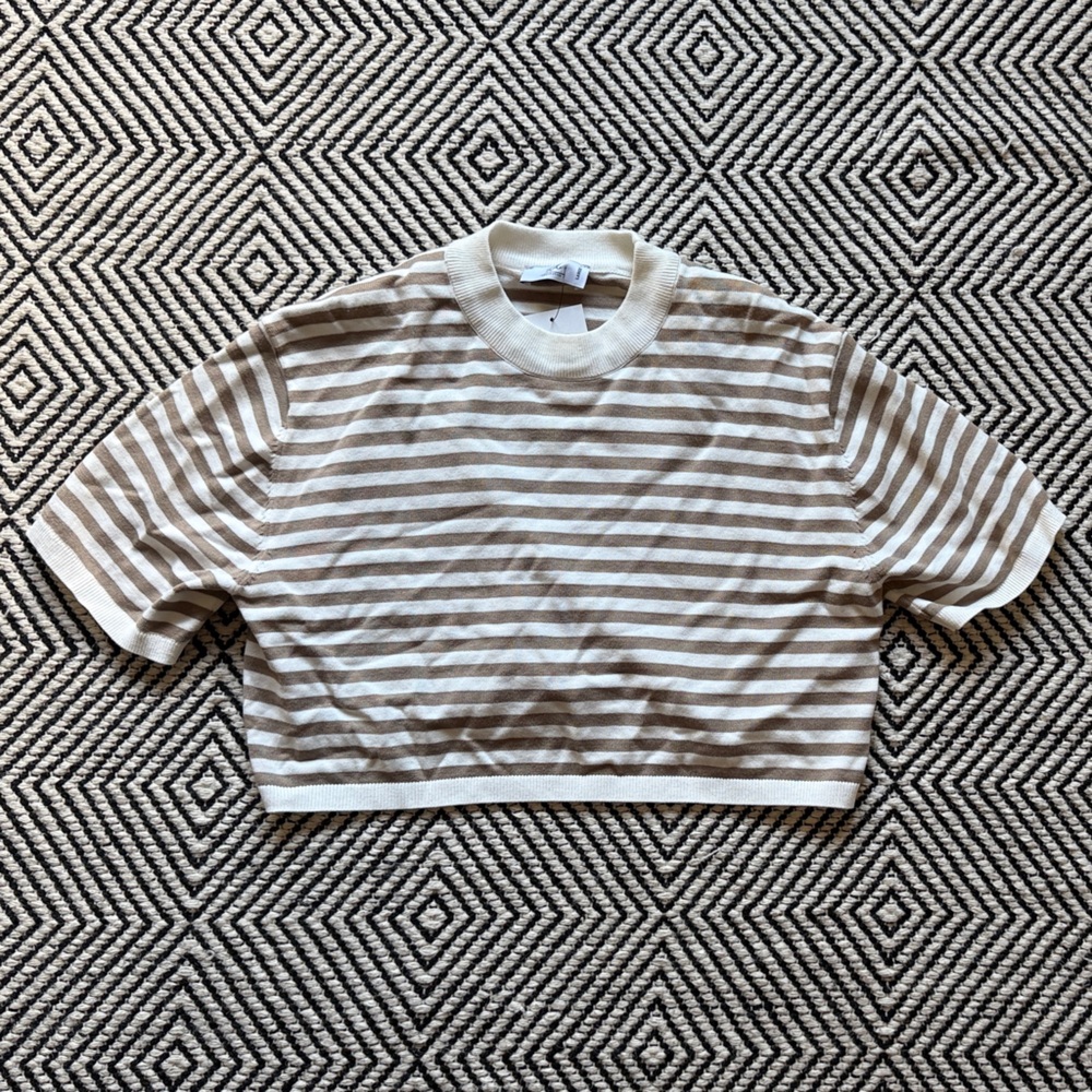 Stile Casual Striped Short Sleeve Crop Top in Cream and Brown